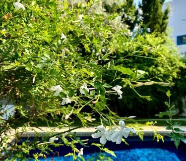 Sidi Bou Said Bed & Breakfast | Olivia sidibou