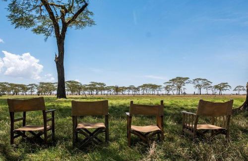 Serengeti National Park Other | Explore Olmara Camp: Family-Friendly Stay with Dining Options