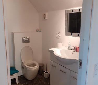Bronderslev Bed & Breakfast | Budget-Friendly Stay at Olsens Hygge with Family Amenities