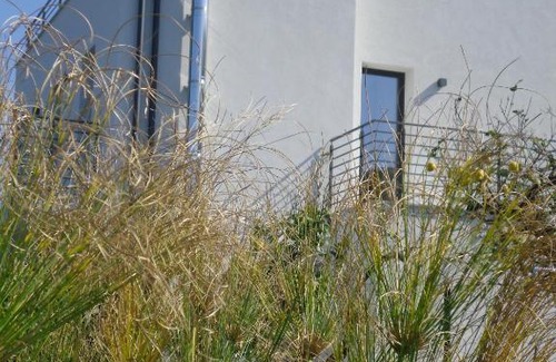 San Nicola l'Arena Bed & Breakfast | Oltremare Rent Rooms: Pet-Friendly Ocean View Retreat