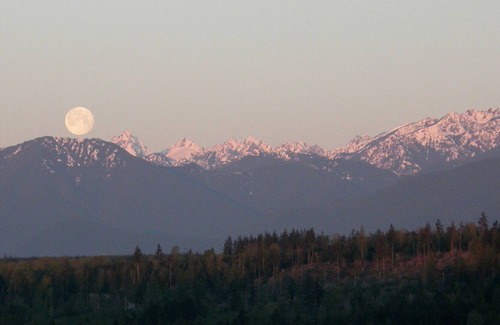 Chimacum Cabin | Olympic Mountains and Chimacum Valley Views - Chimacum Ridge Lodge