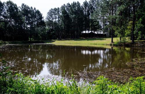 Viamao Bed & Breakfast | Discover OM B&B + Spa: Relaxing Retreat with Pool Access