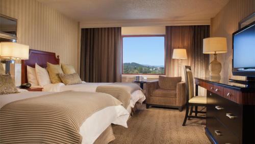 Starr Hill Hotel | Pet-Friendly Retreat at Omni Charlottesville Hotel