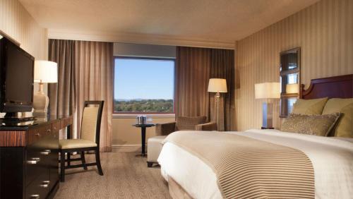 Starr Hill Hotel | Pet-Friendly Retreat at Omni Charlottesville Hotel