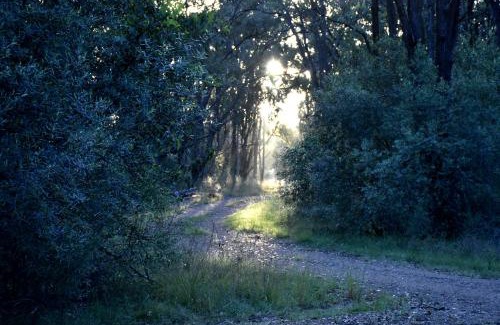 Lower Belford Other | Experience Nature at On Bell Glamping with Top Amenities