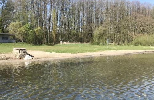 Joachimsthal House | Scenic Lakeview Hotel on Grimnitzsee for Family Getaways