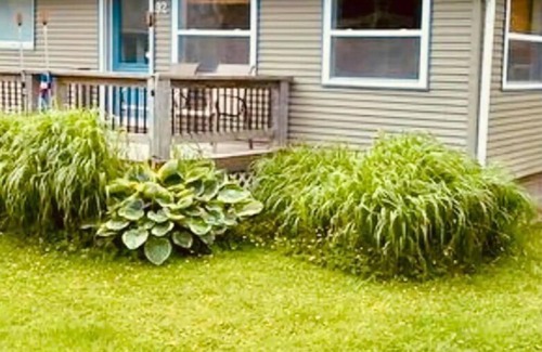 Pointe-du-Chene Cabin | On Pointe! Pet-Friendly Hotel with Family Amenities