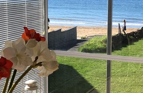 Milford Apartment | Beachfront Bliss at On the Beach Milford - Rated 9.2/10