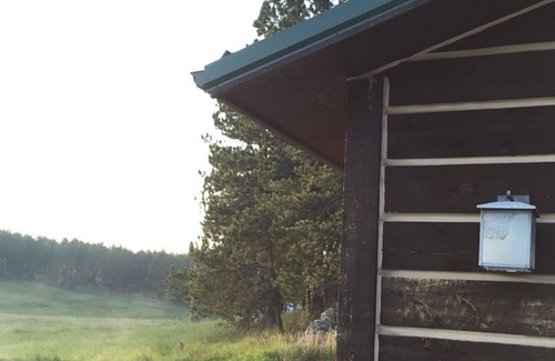 Custer Cabin | Family-Friendly Log Home on the Scenic Mickelson Trail