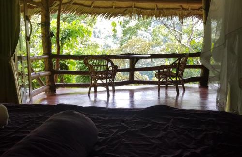 Bukit Lawang Cabin | Explore On The Rocks Bungalows with Jungle Trekking & Dining