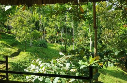 Bukit Lawang Cabin | Explore On The Rocks Bungalows with Jungle Trekking & Dining