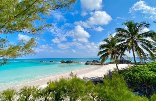 North Palmetto Point Apartment | Unwind at On the Rocks: Oceanfront Pet-Friendly Retreat