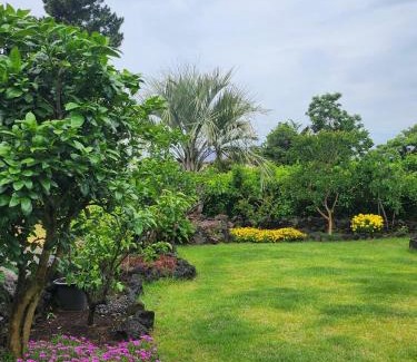 Namwon House | Discover Comfort on the Way to Santiago with Family-Friendly Amenities