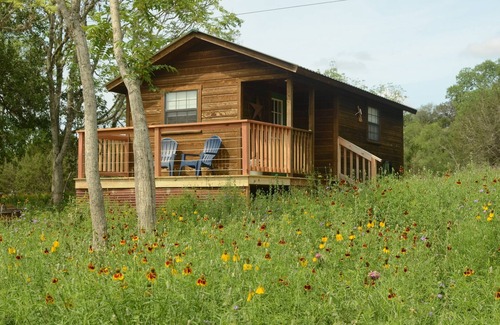 Leakey Cabin | Experience Riverfront Bliss in Pet-Friendly Tiny Cabin