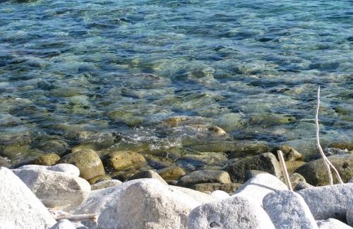 Seccheto Apartment | Experience Onda Su Onda Appartamenti: Oceanfront Bliss