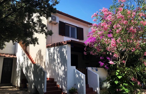 Artatore Apartment | Pet-Friendly One Bedroom Apartment with Ocean View in Lošinj