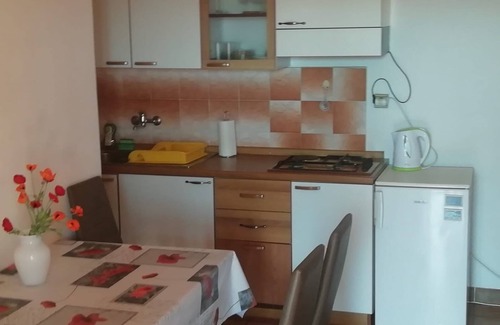 Mandre Apartment | Beachfront One Bedroom Apartment in Mandre, Pag - 10/10 Rated