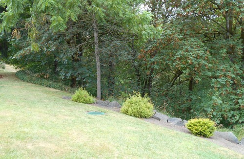 Newberg Apartment | Indulge in a One Bedroom Suite Surrounded by Wine Country