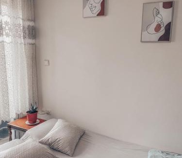 Komotini Apartment | Budget-Friendly Eucalyptus Hotel: Pet & Child Friendly Stay