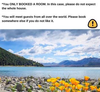 Lake Tekapo Hostel | One Piece Budget Accommodation