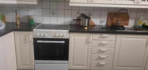 Oslo Apartment | Cozy One Room Apartment in Oslo with Family-Friendly Amenities
