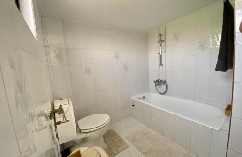 Pallini House | Pet-Friendly Getaway: Discover Only Sun Hotel Awaits