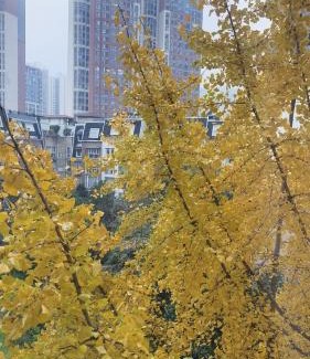Bang Sue Apartment | Convenient Stay at Bangsong Scenic near Central Station