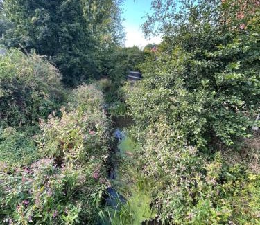 Bassum Apartment | Open-Air-BnB Wohnung 76m2 Freudenburg nur 3 min