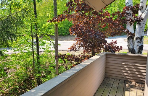 Lincoln House | Pet-Friendly Retreat with Pool & Breakfast - C6301