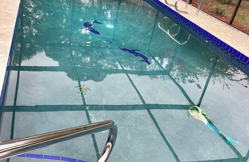 Sarasota Springs House | Poolside Retreat in Sunny Sarasota, Rated 9.8/10 by Guests