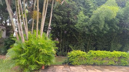 Jardim Oriental House | Pet-Friendly Retreat at Open House Timboré with Pool
