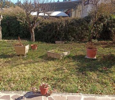 Potenza Bed & Breakfast | Pet-Friendly Hotel with Restaurant and Breakfast Options