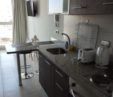 Temuco Apartment | Open Suite 1