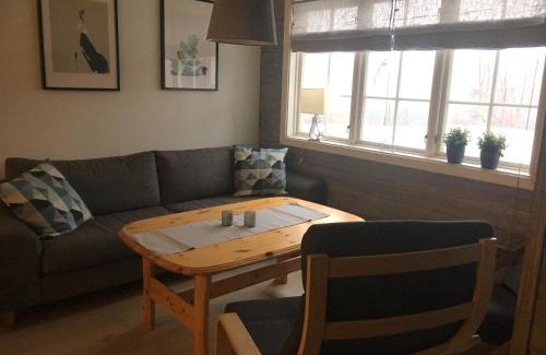 Oppdal Apartment | Experience Ski-In Ski-Out Comfort at Oppdal Alpintun