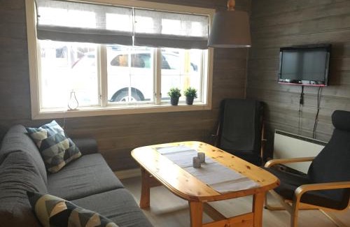 Oppdal Apartment | Experience Ski-In Ski-Out Comfort at Oppdal Alpintun