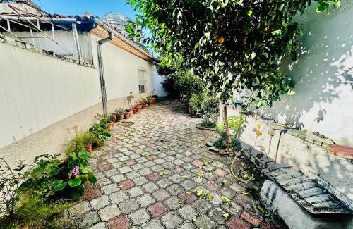 Tirana Villa | Orange Tree House