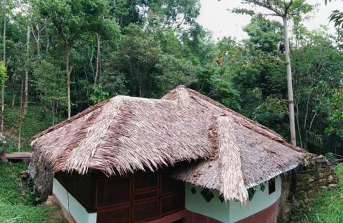 Bukit Lawang Cabin | Experience Comfort at Orangutan Bungalow - Guest Rated 9/10