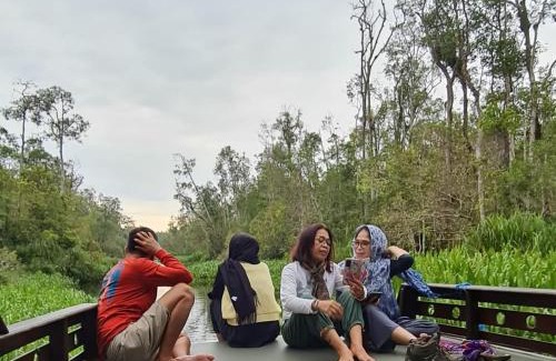 Pangkalan Bun Boat Rental | Relaxing Orangutan Houseboat Park in Tanjung Puting