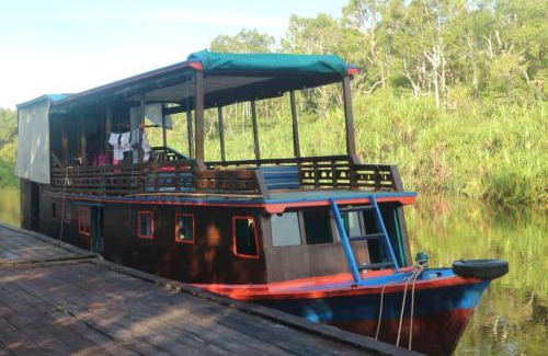 Pangkalan Bun Boat Rental | Relaxing Orangutan Houseboat Park in Tanjung Puting