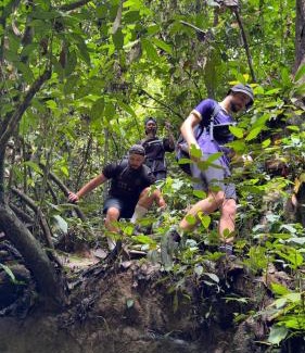 Bohorok Villa | Eco-Friendly Sumatra Orangutan Treks Villa & Jungle Adventures