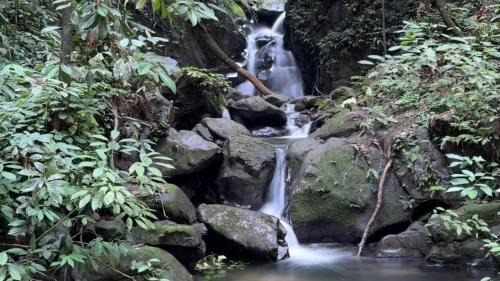 Bohorok Villa | Eco-Friendly Sumatra Orangutan Treks Villa & Jungle Adventures