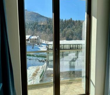 Bakuriani Apartment | Pet-Friendly Orbi Palace Studio with Private Pool & More