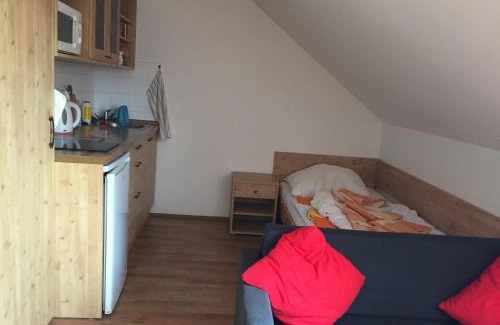 Mala Moravka House | Family-Friendly Stay at Orbit Karlov pod Pradědem
