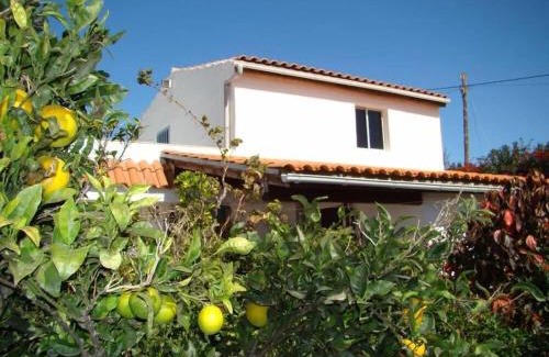 Granadilla de Abona Apartment | Cozy Orchard Cottage with Private Pool for Relaxing Getaways