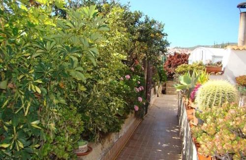 Granadilla de Abona Apartment | Cozy Orchard Cottage with Private Pool for Relaxing Getaways