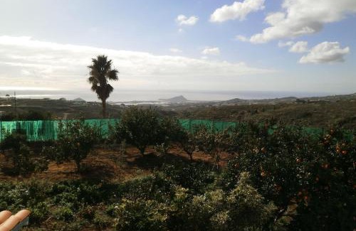 Granadilla de Abona Apartment | Cozy Orchard Cottage with Private Pool for Relaxing Getaways