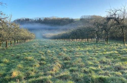 Cattistock Apartment | Idyllic Orchard Retreat: Cozy Shepherds Huts with Hot Tub