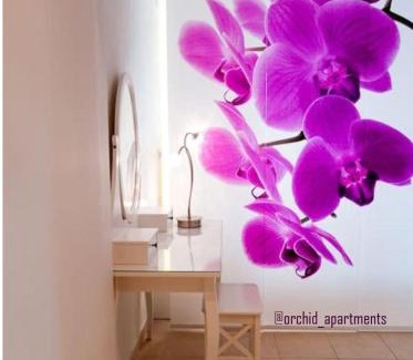 Thermi Apartment | Orchid Apartments: Highly Rated & Pet Friendly Getaway