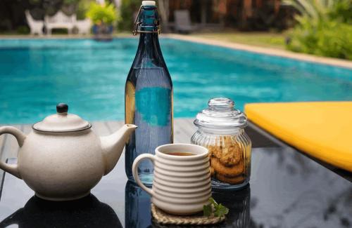 Hoskote Resort | Relaxing Orchid Tree Wellness Retreat with Spa & Pool