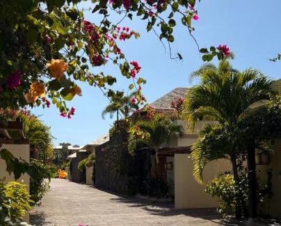 Pereybere Villa | ORCHID Villa luxueuse avec piscine privée- A 600m de la plage